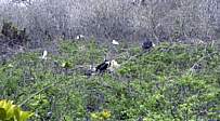 g7_105.jpg